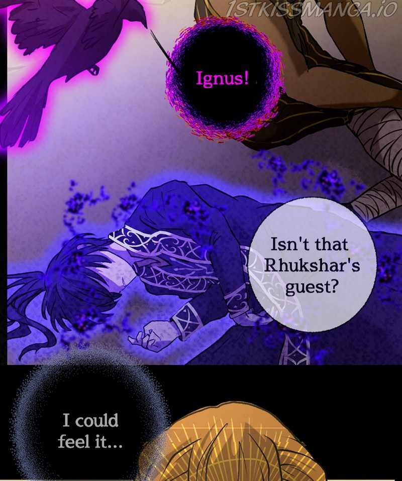 41