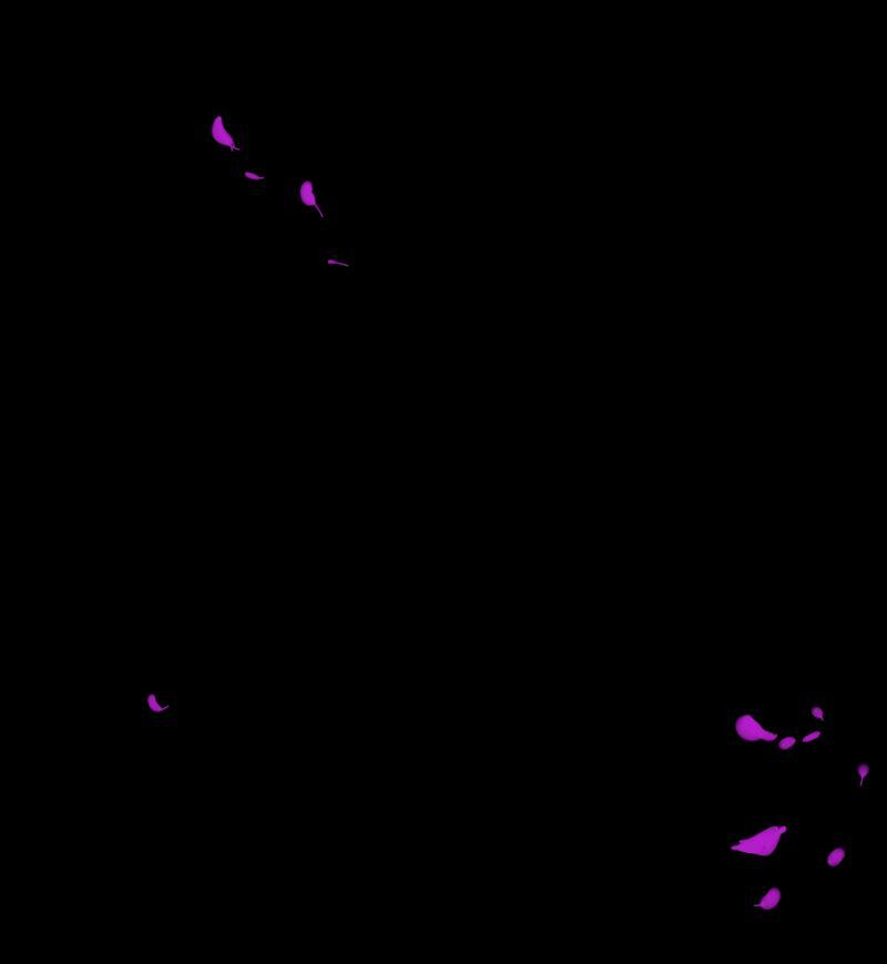 95