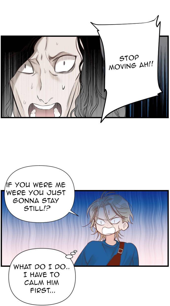 40