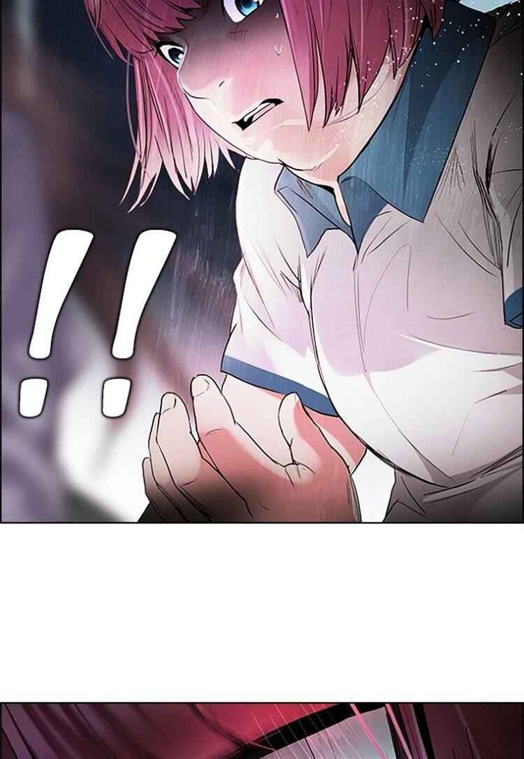 81