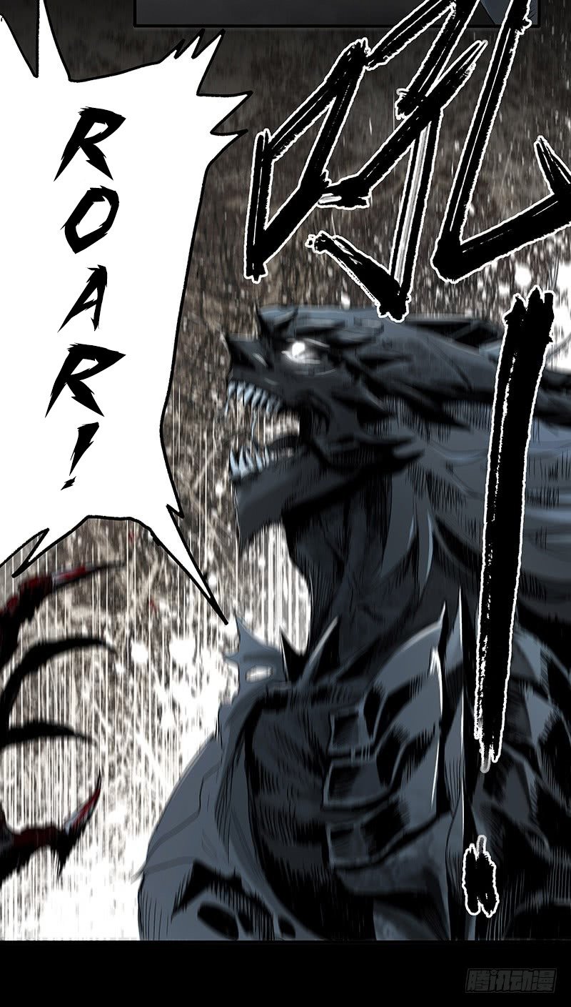 41