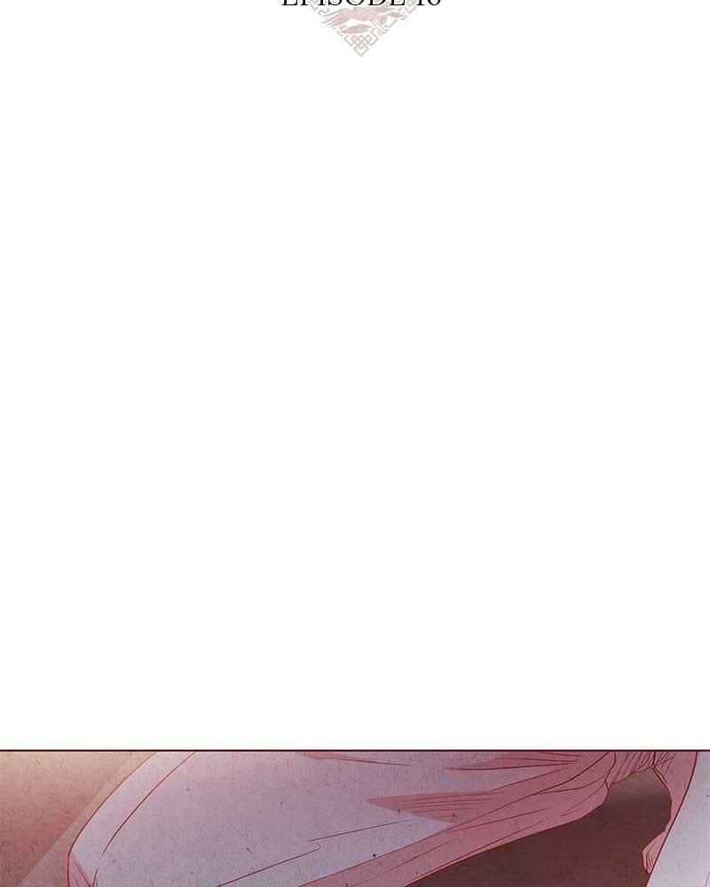 81