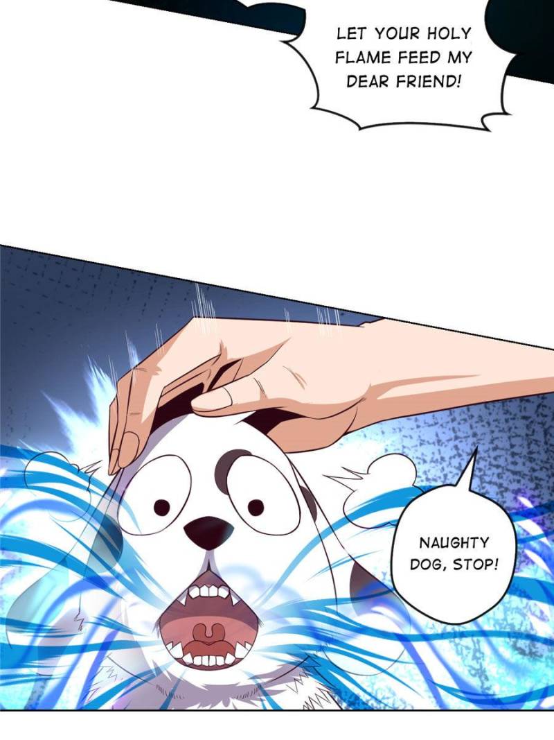 43