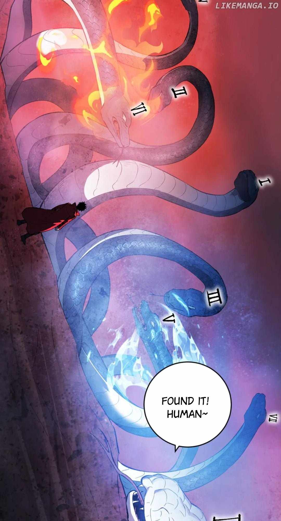41