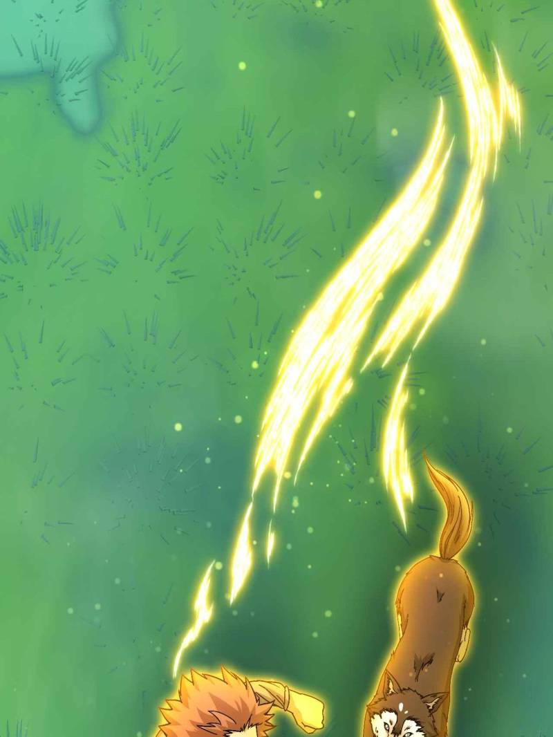 41