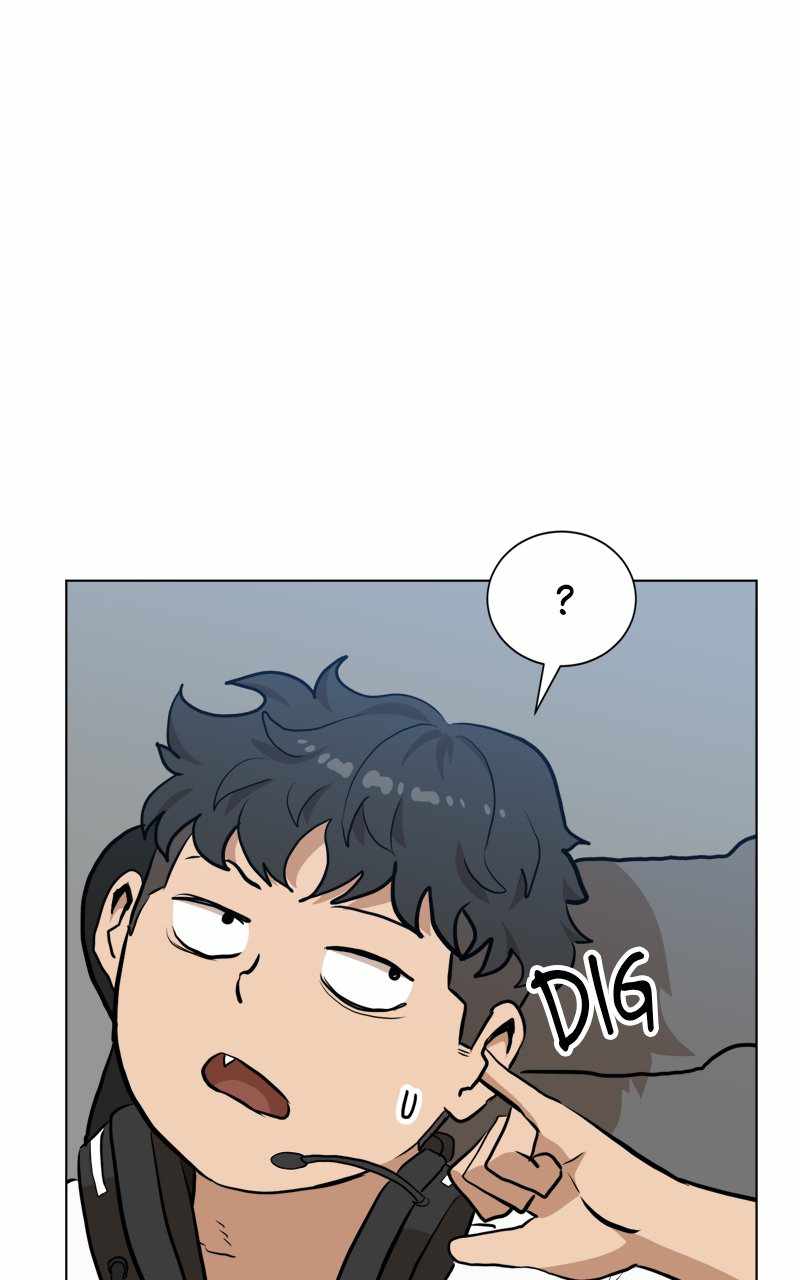 81