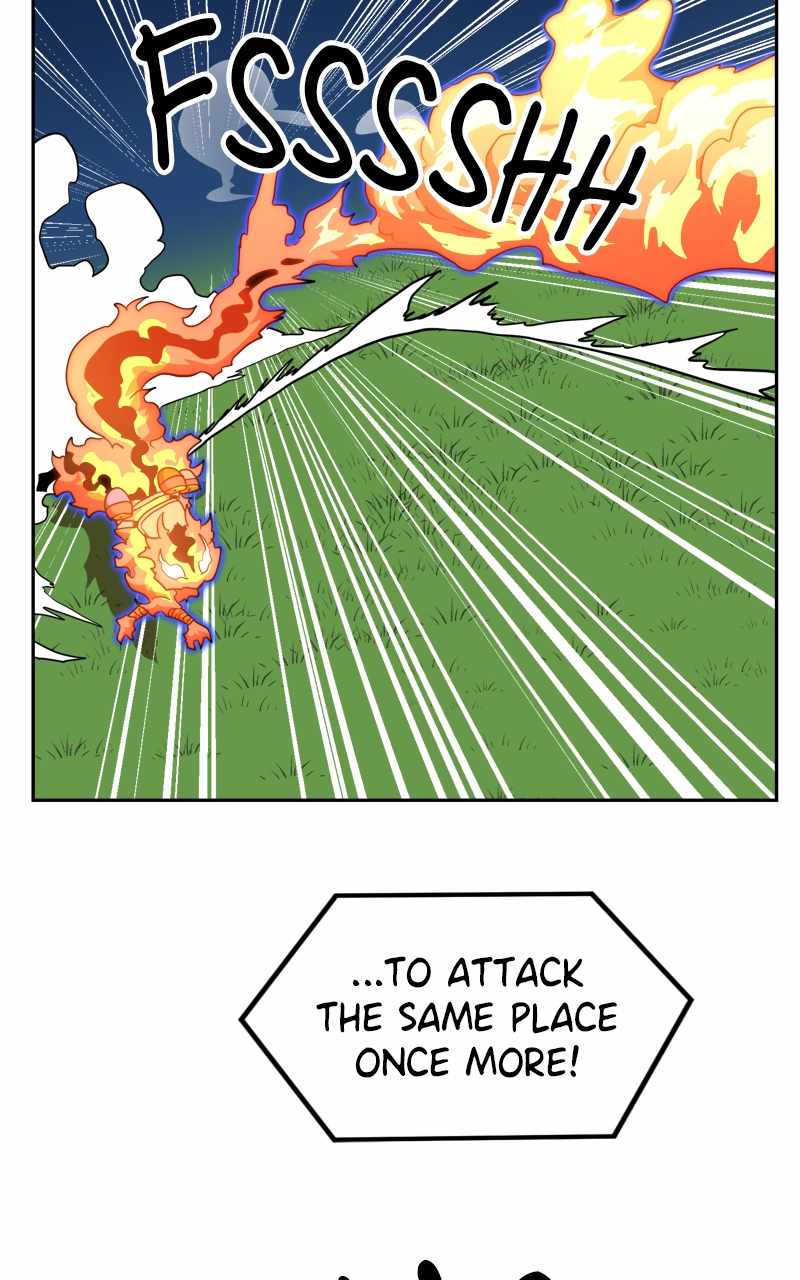 55