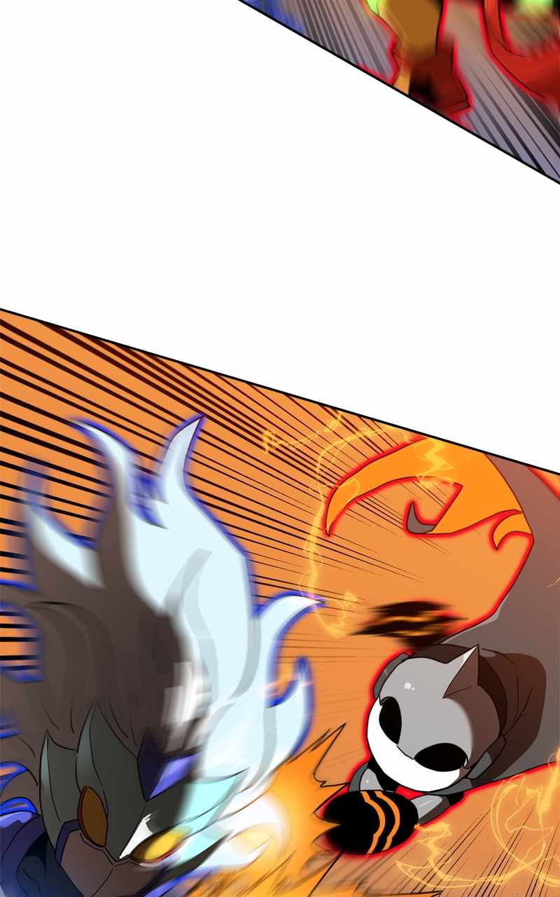 66