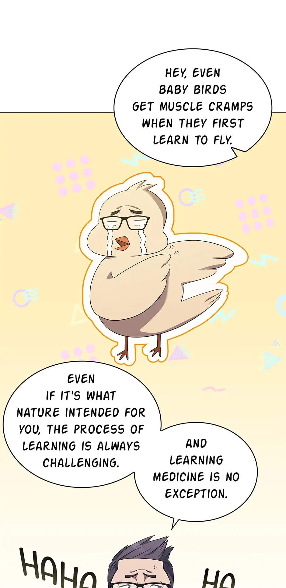 29