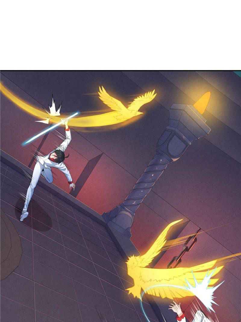 33