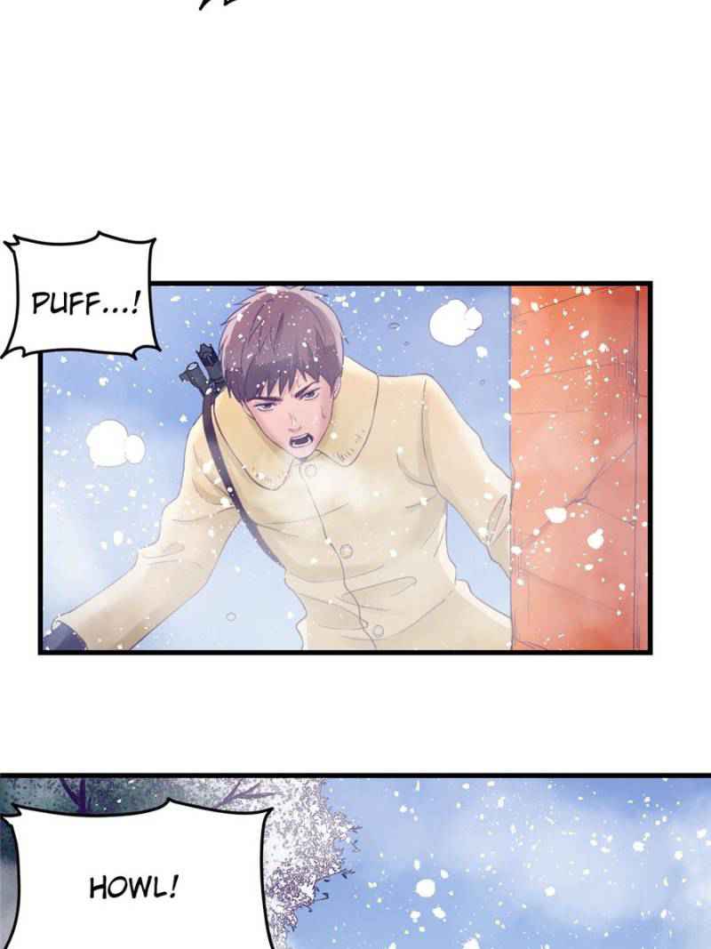 41