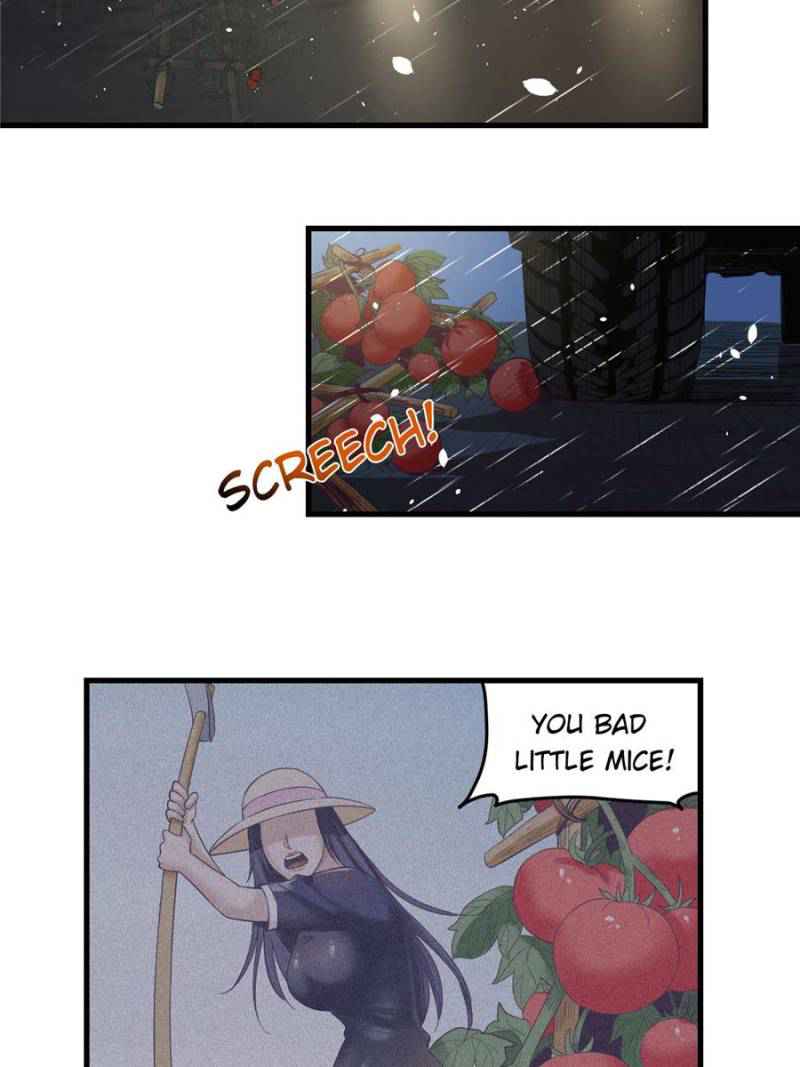 43