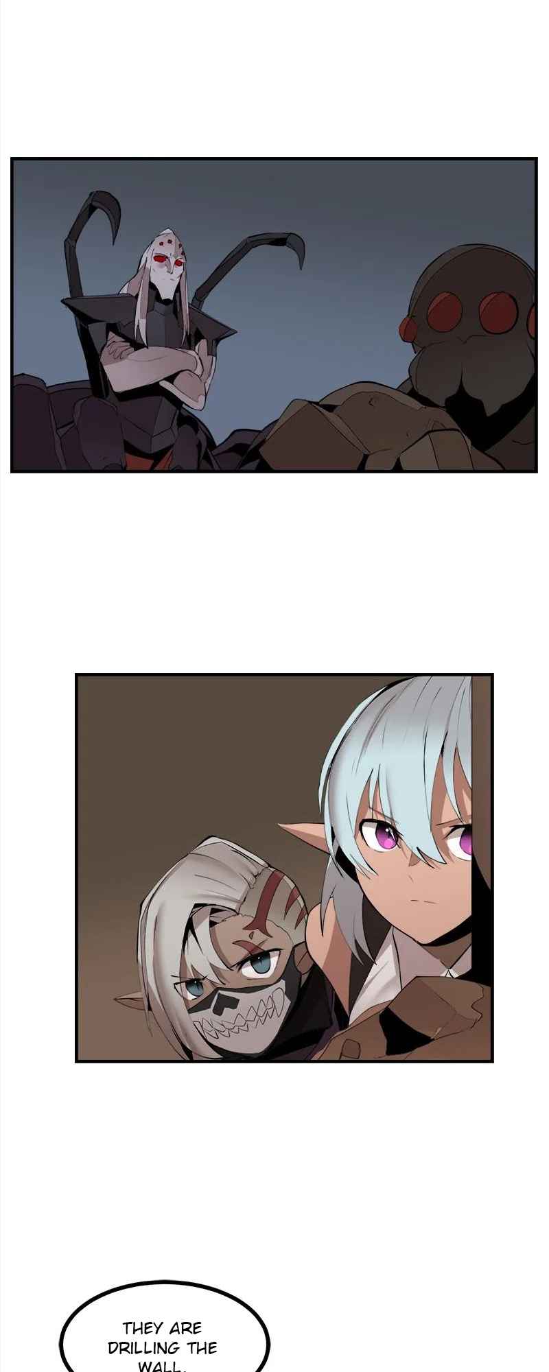 41