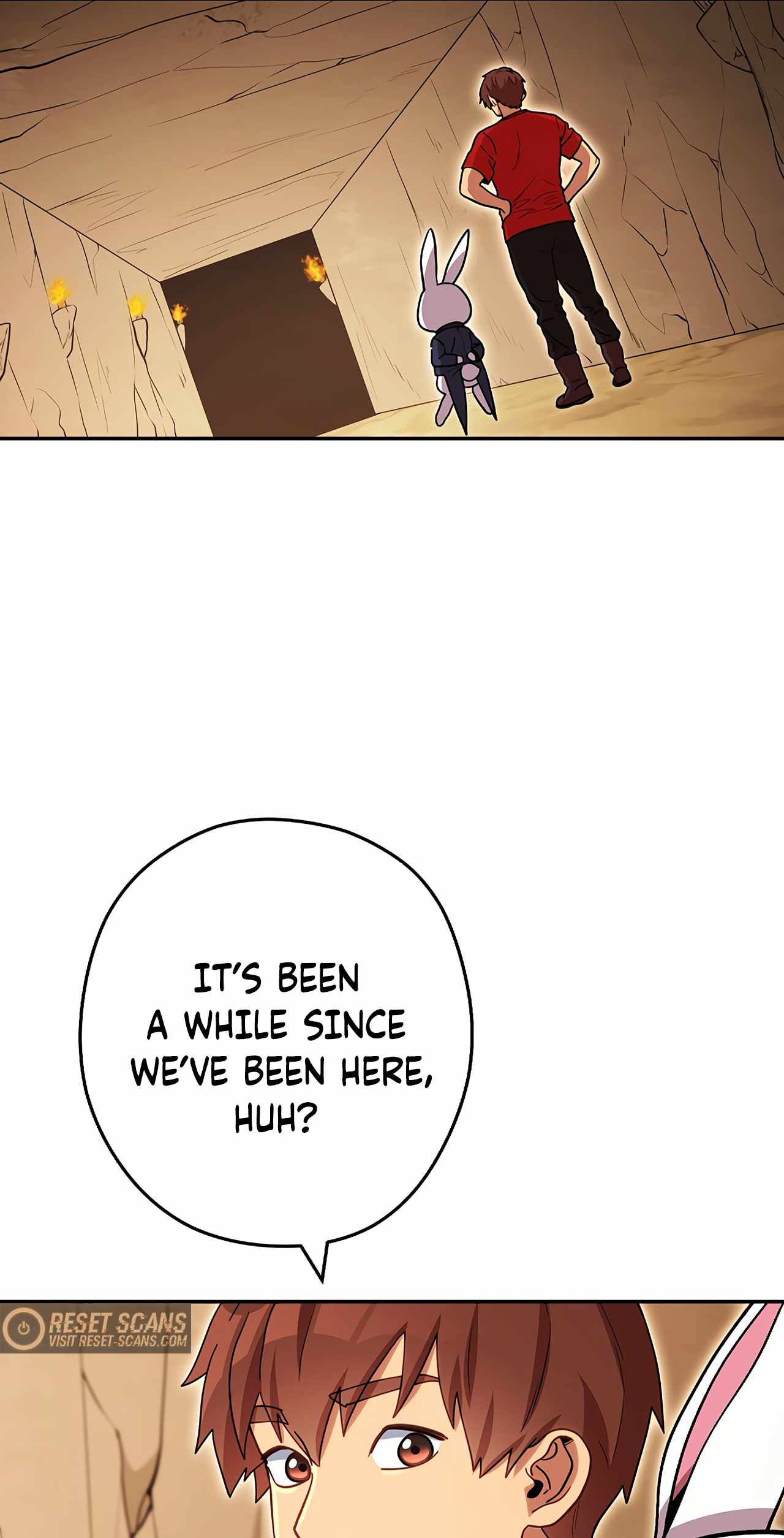 41