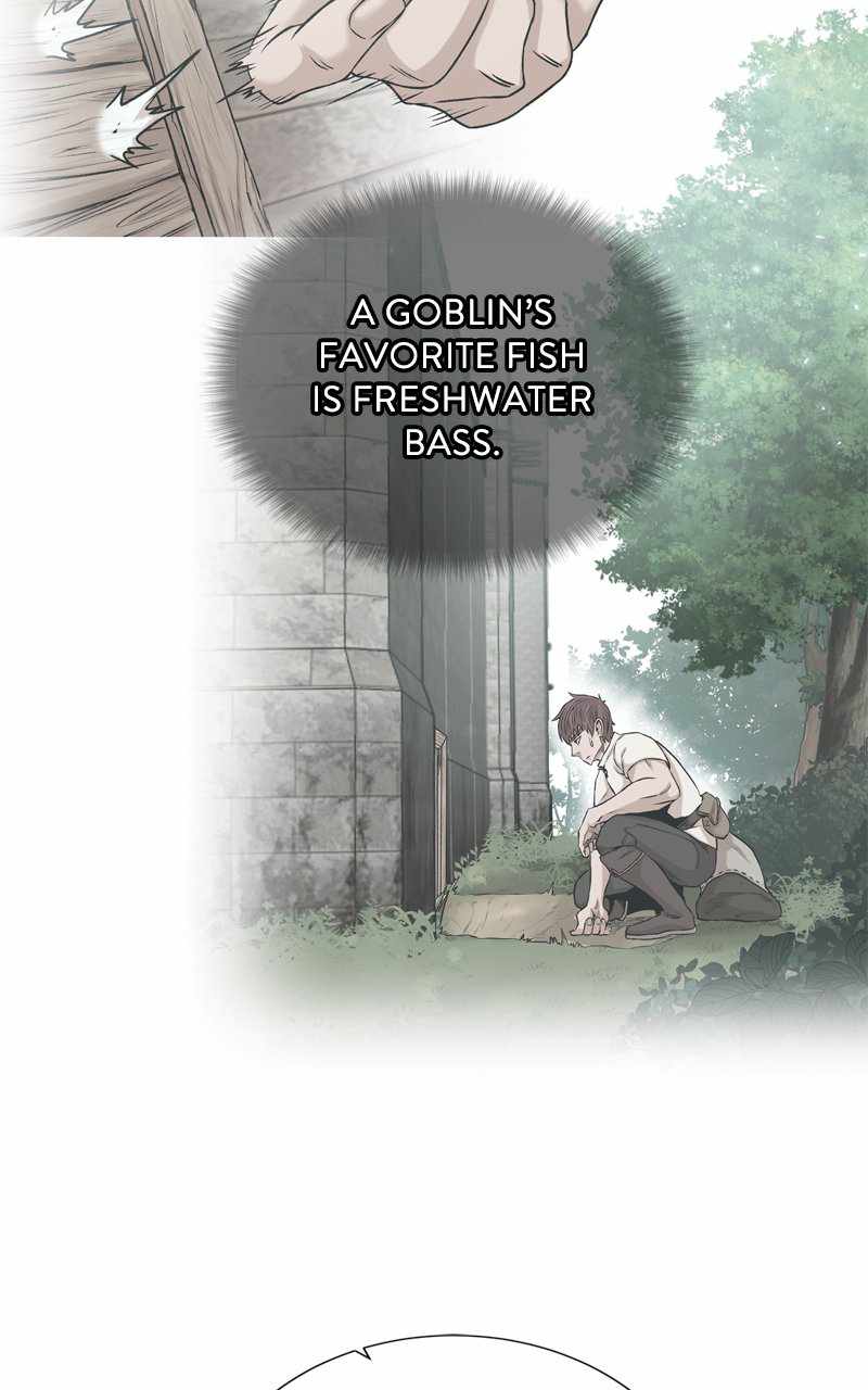 81