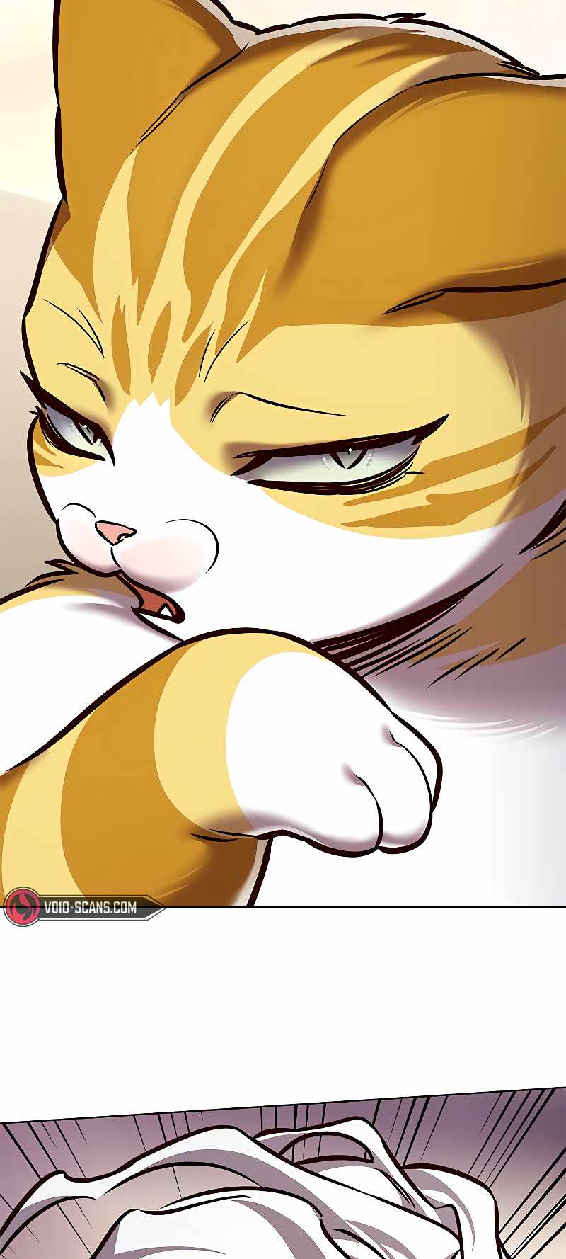85
