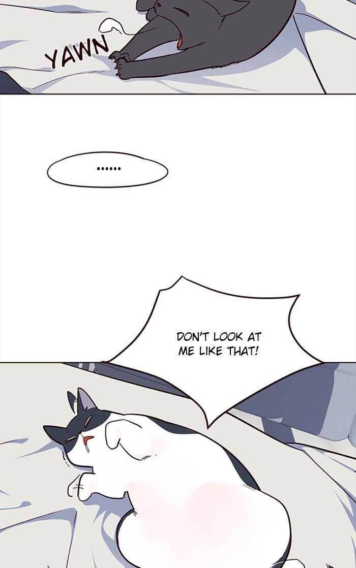 78
