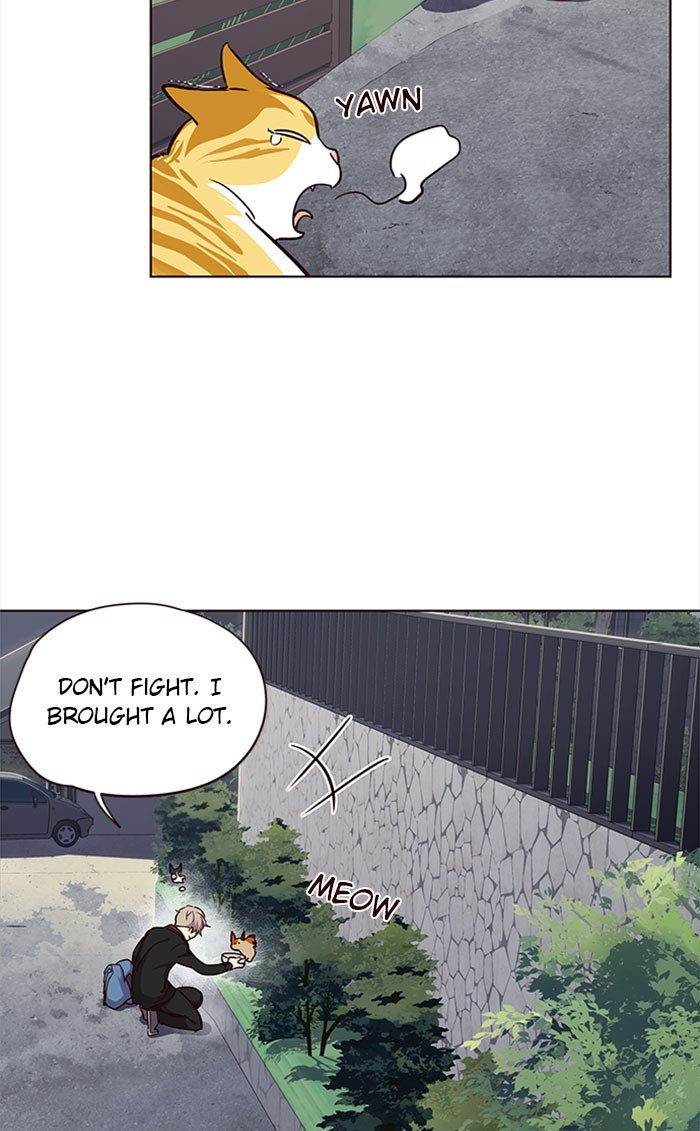 71