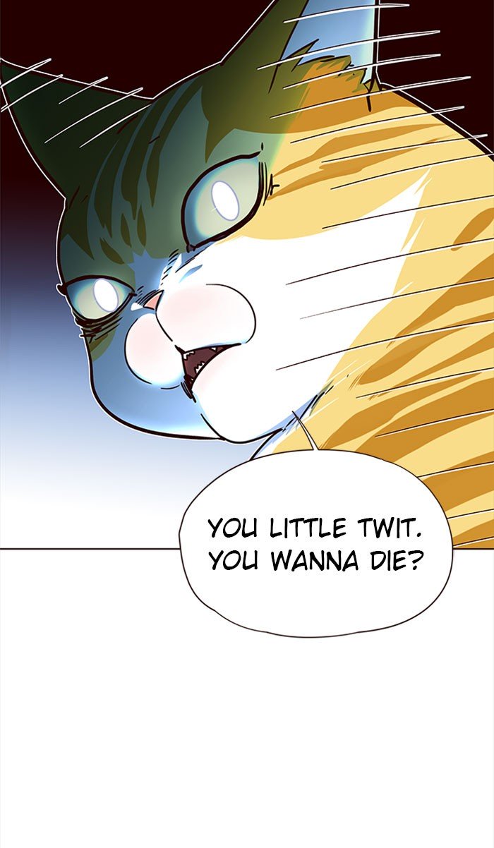 65
