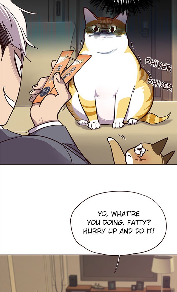 56