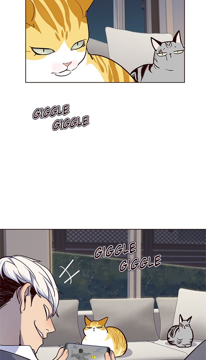 61