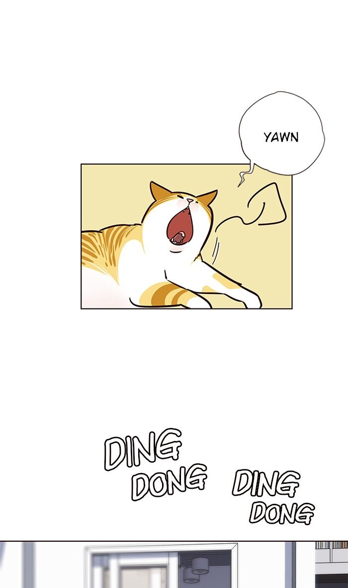 65