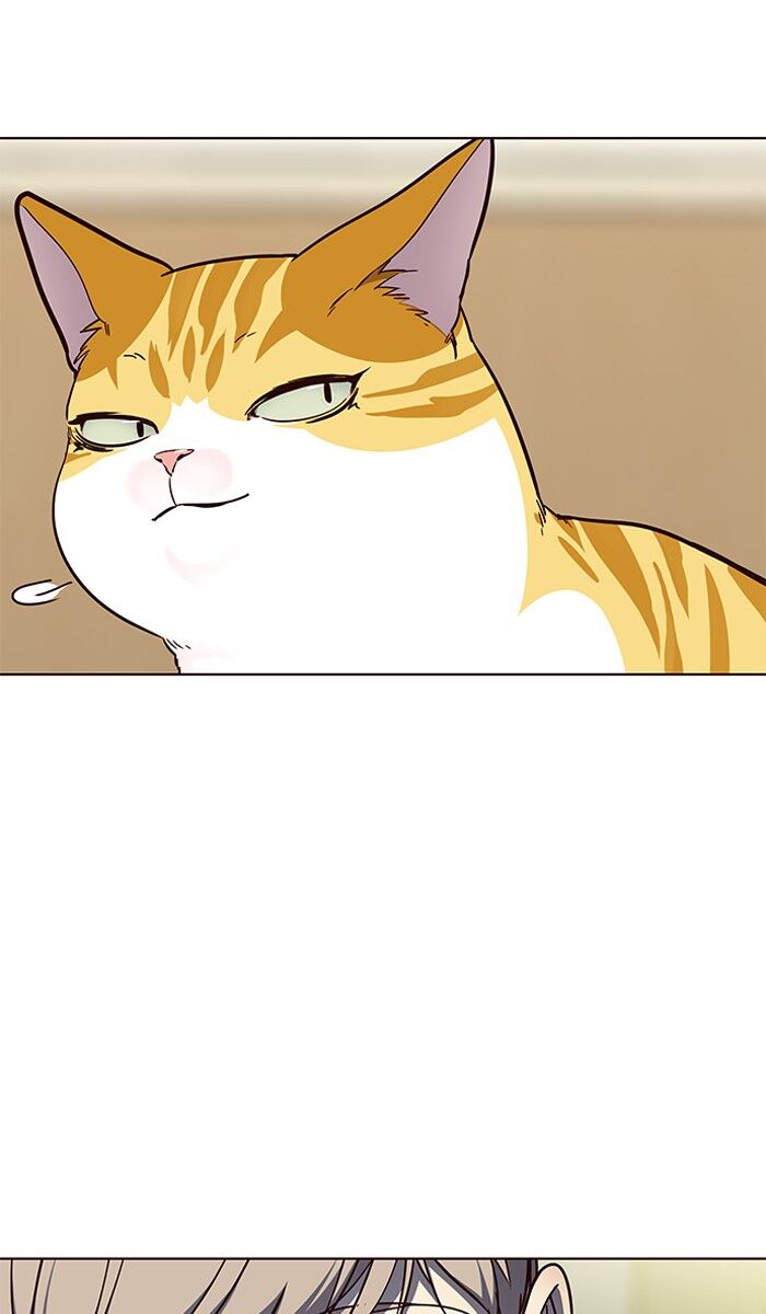 75