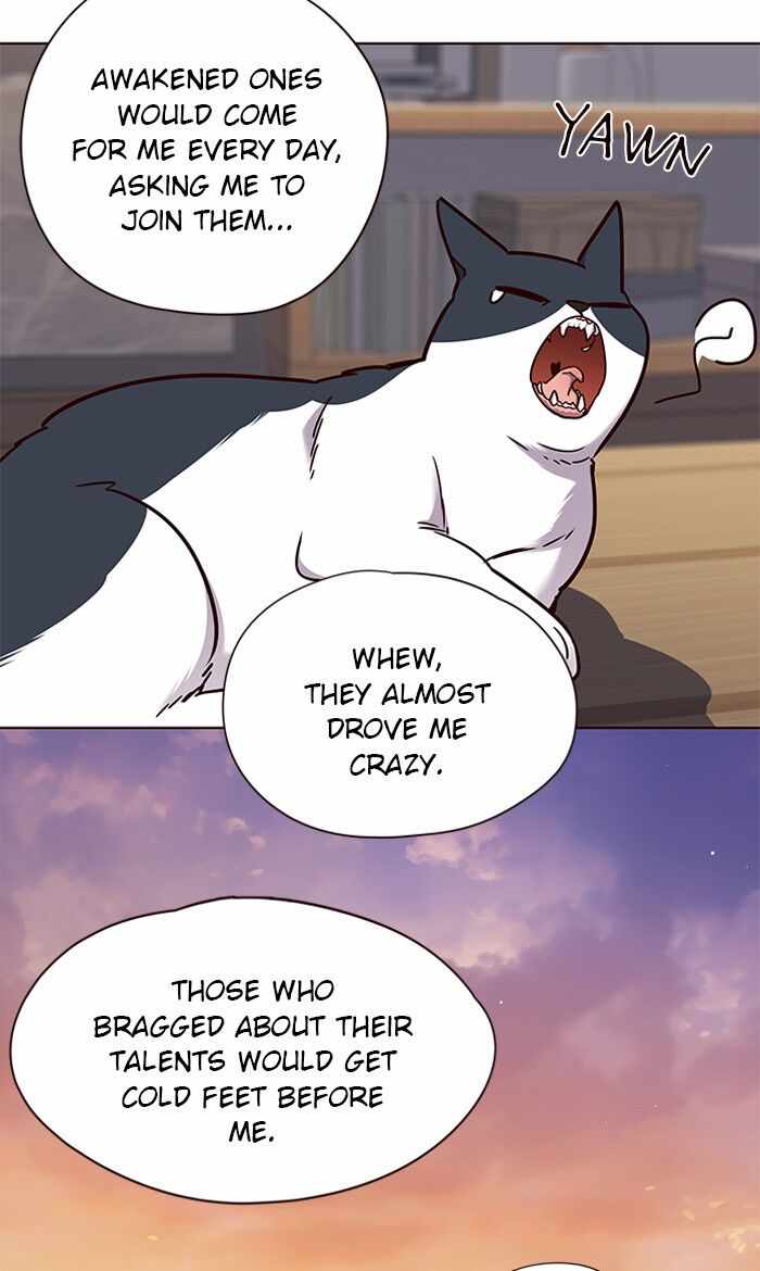 65