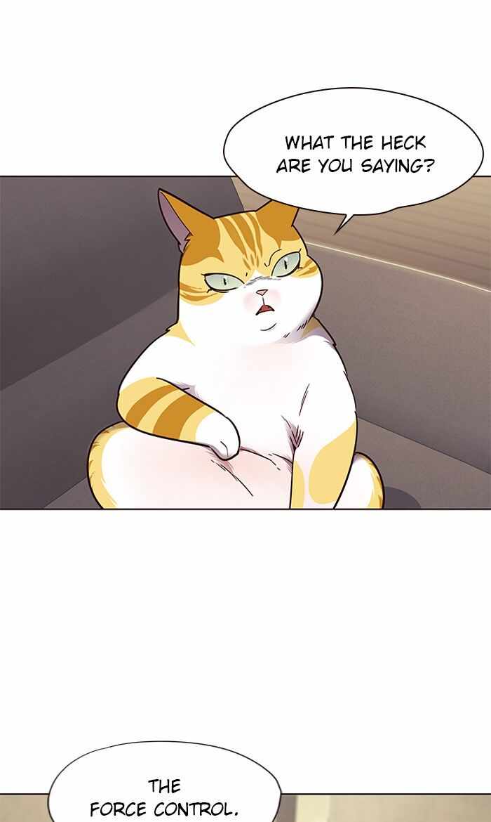 71