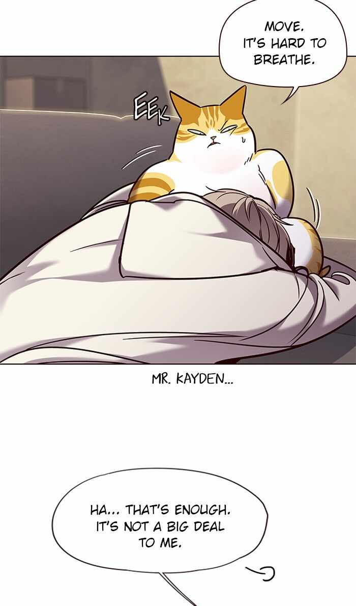 78