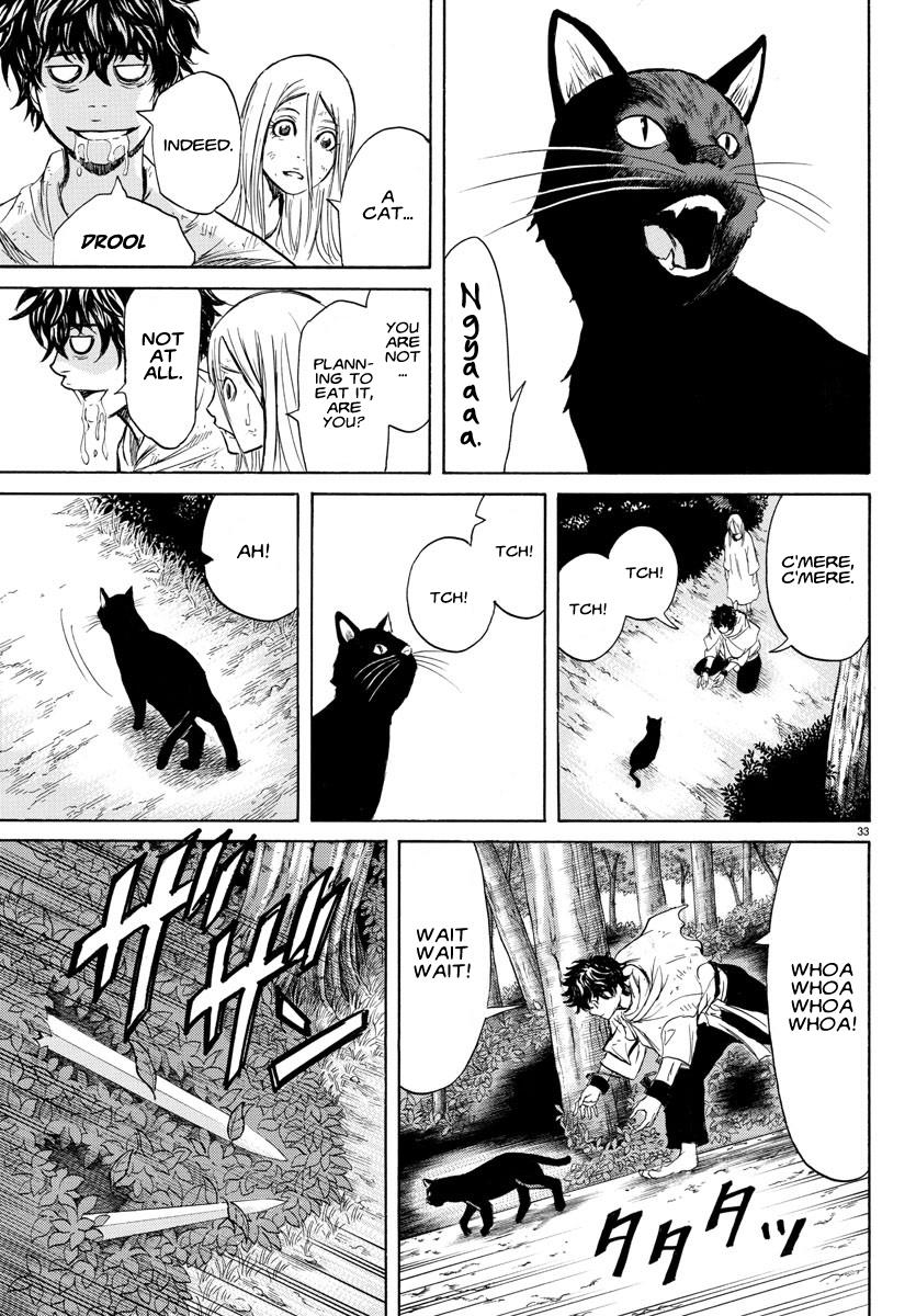 33