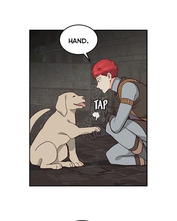 40