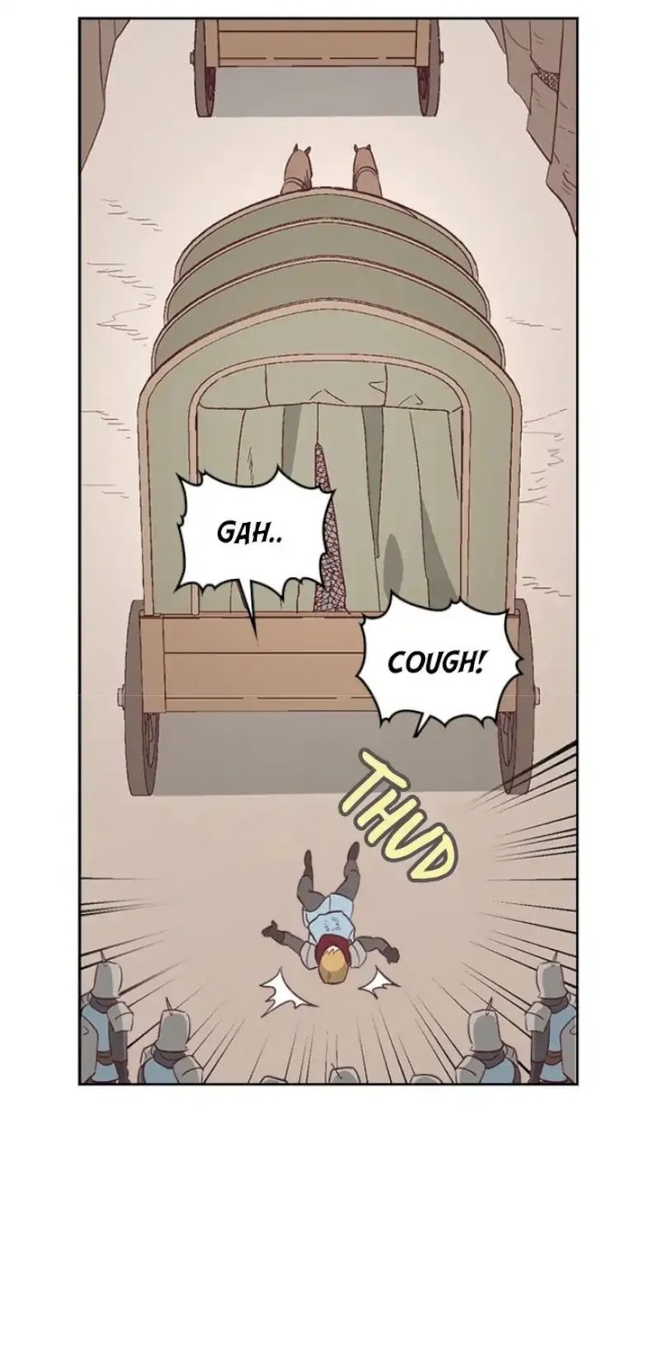 41
