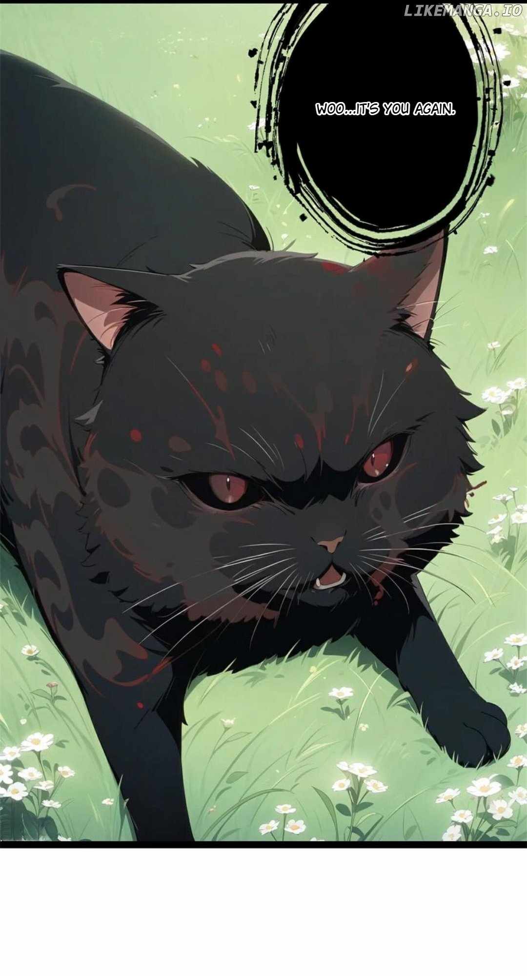 65