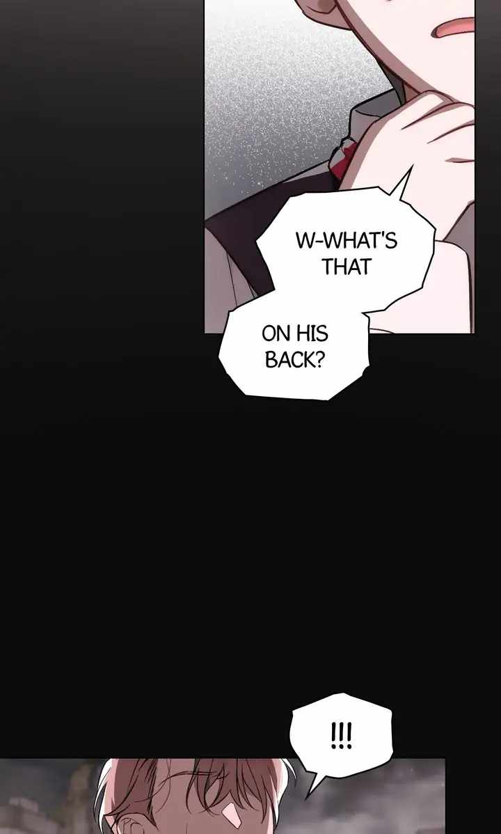 66
