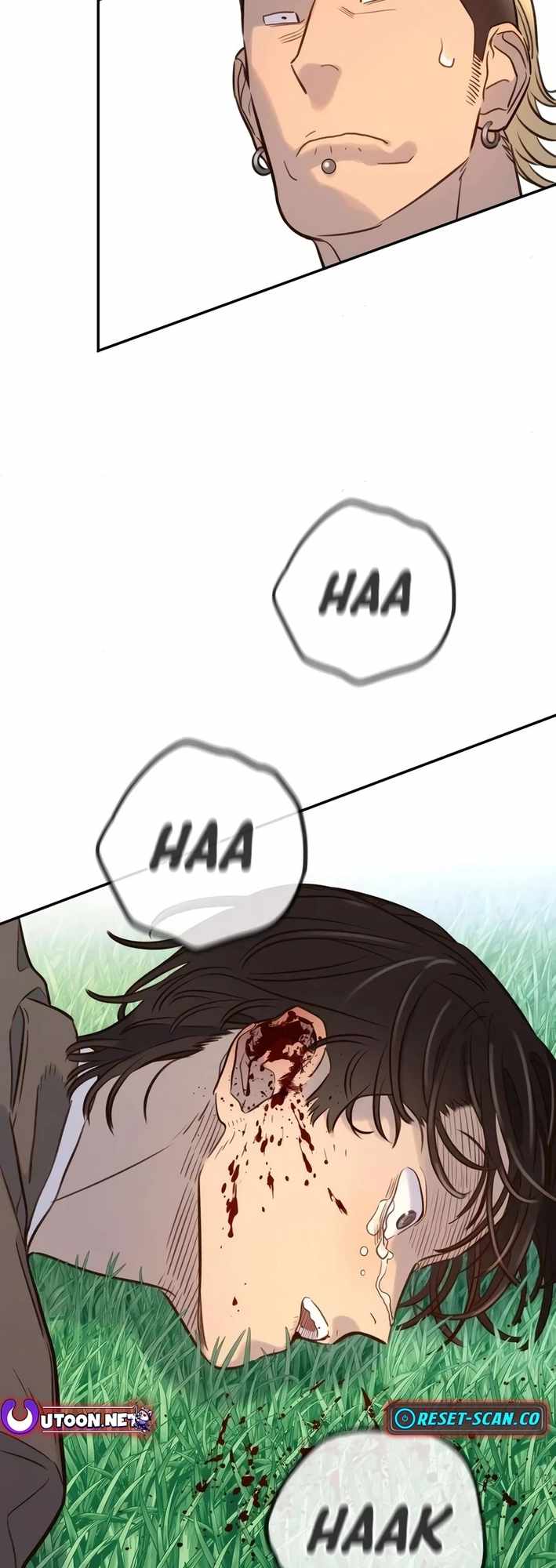 66
