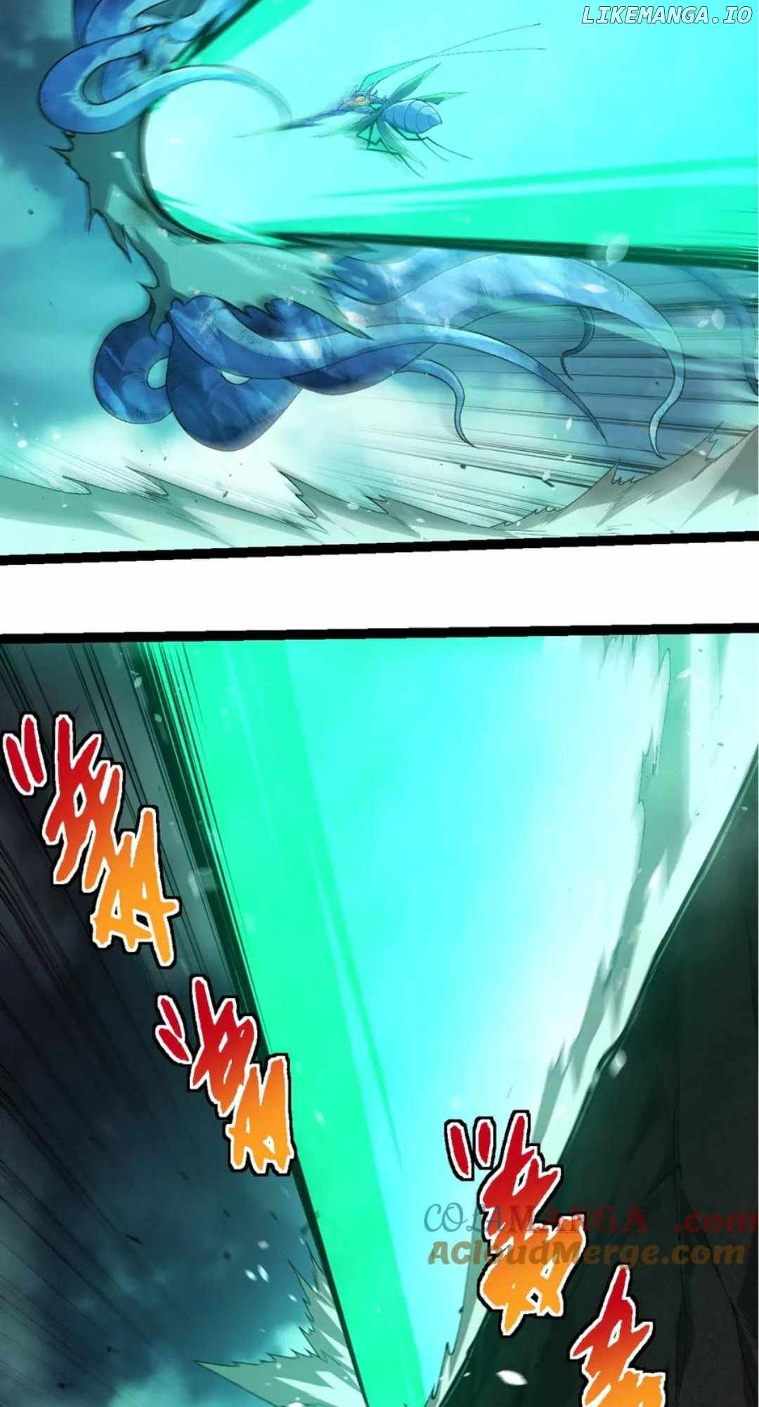 41