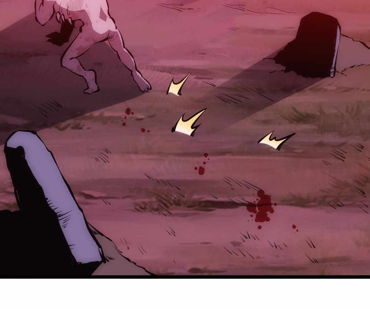 81