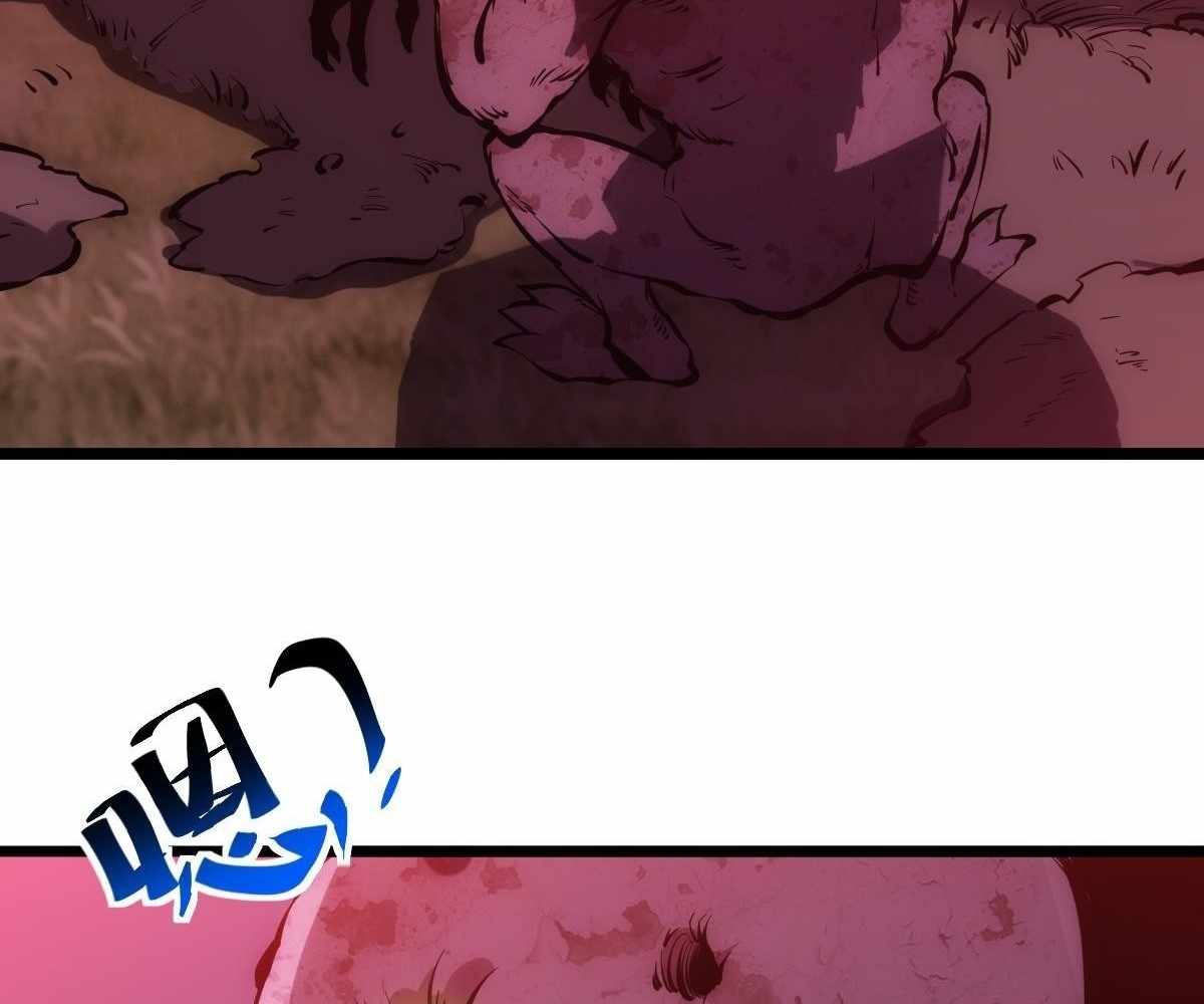 66