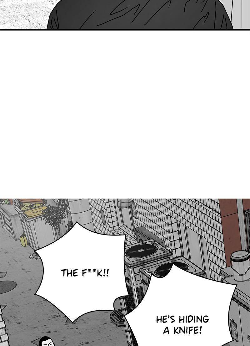 81