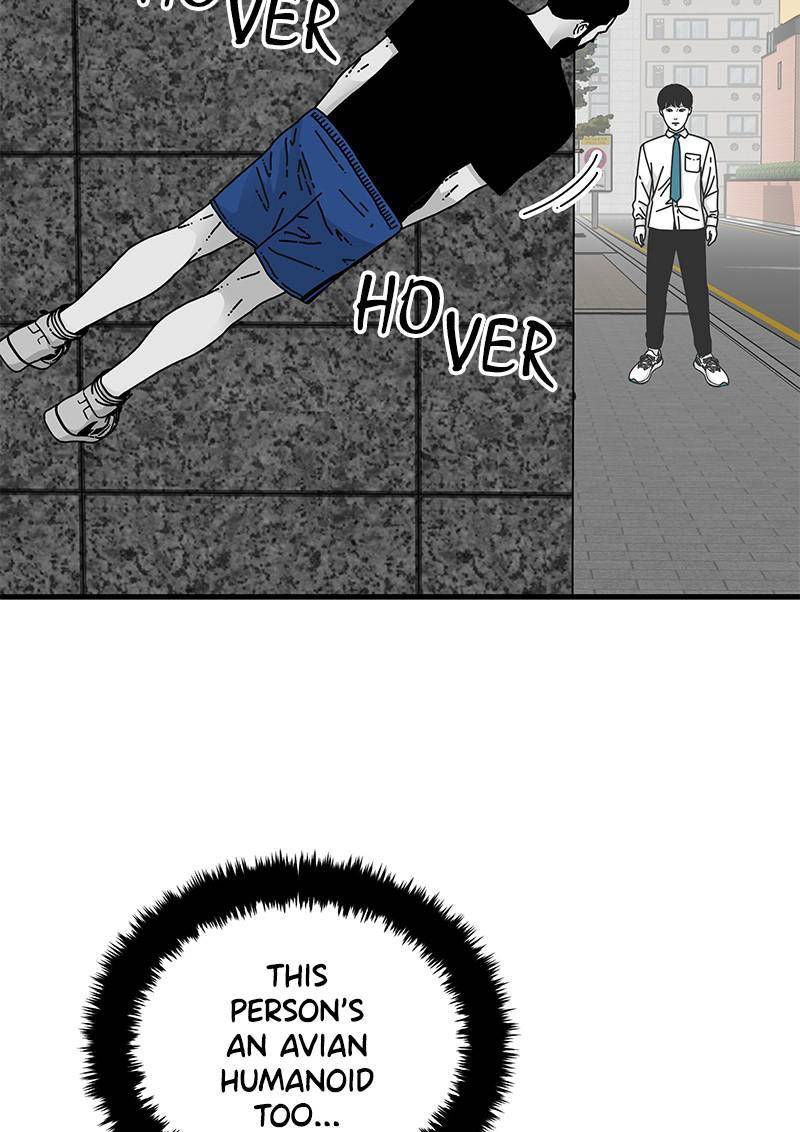 80