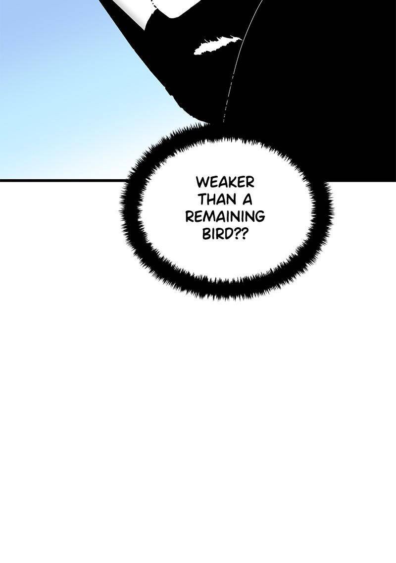 81