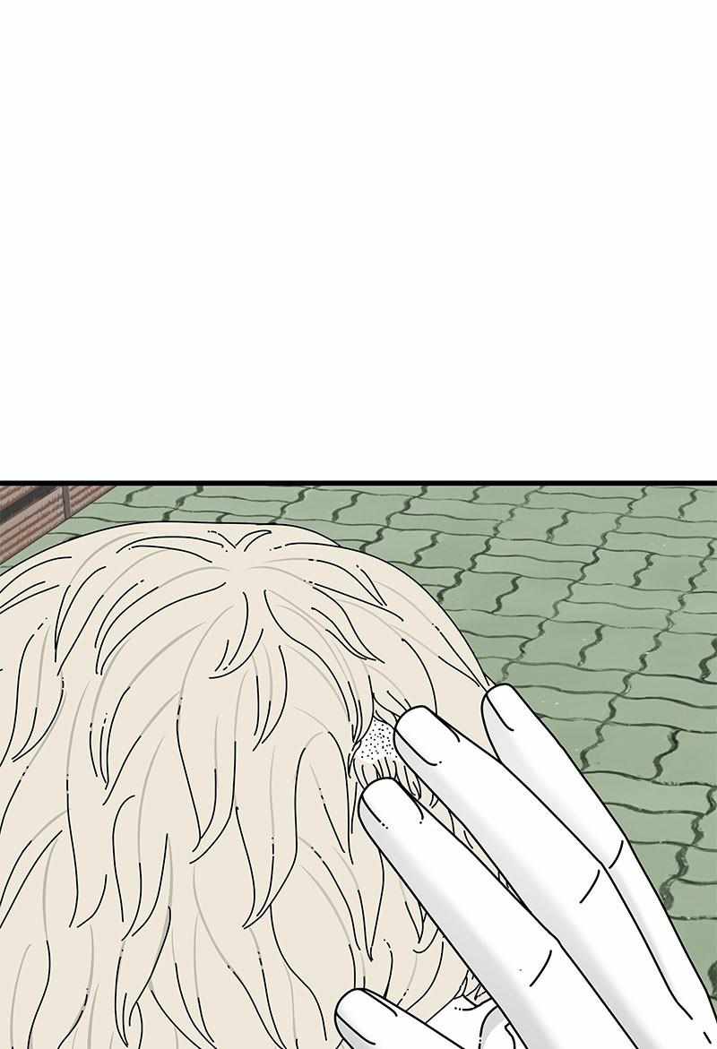 65