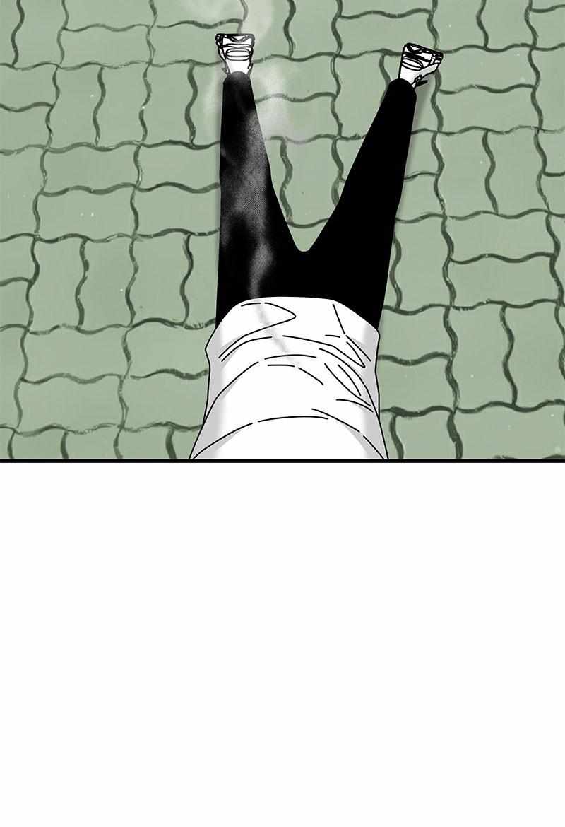 81