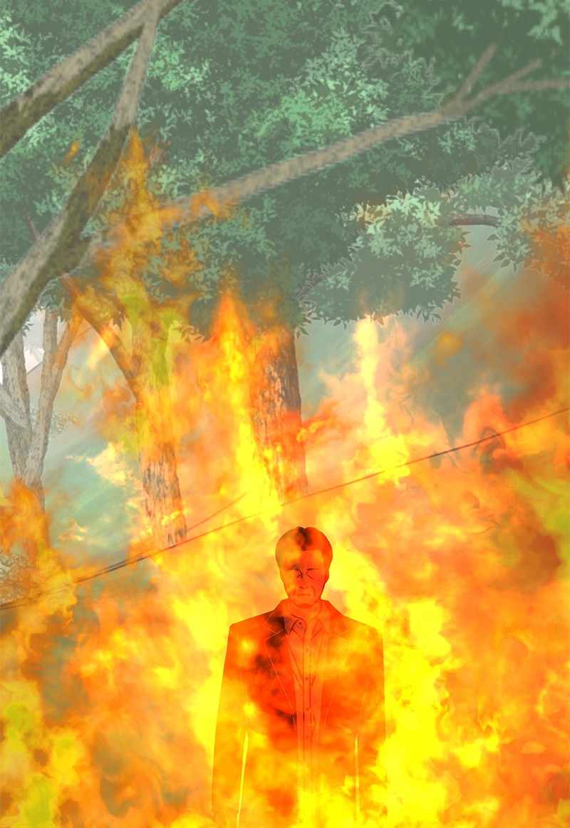 66