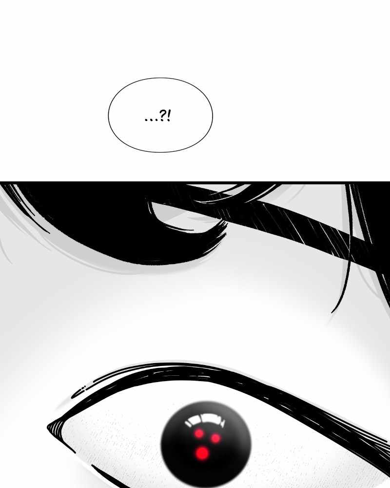81