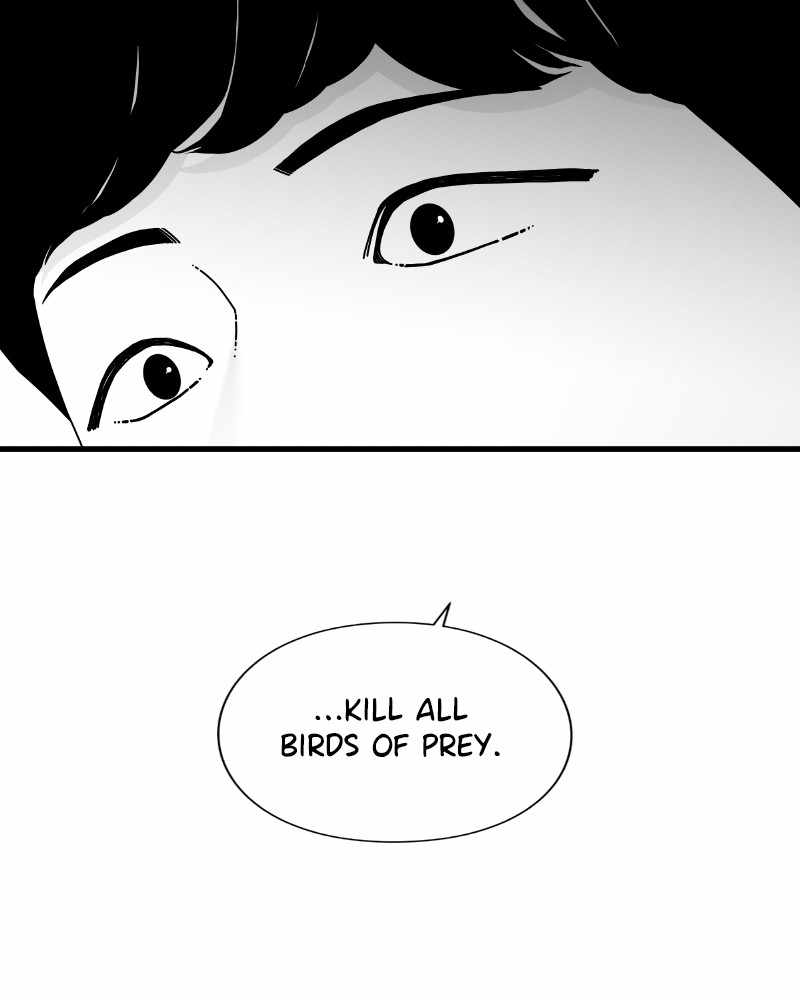 81