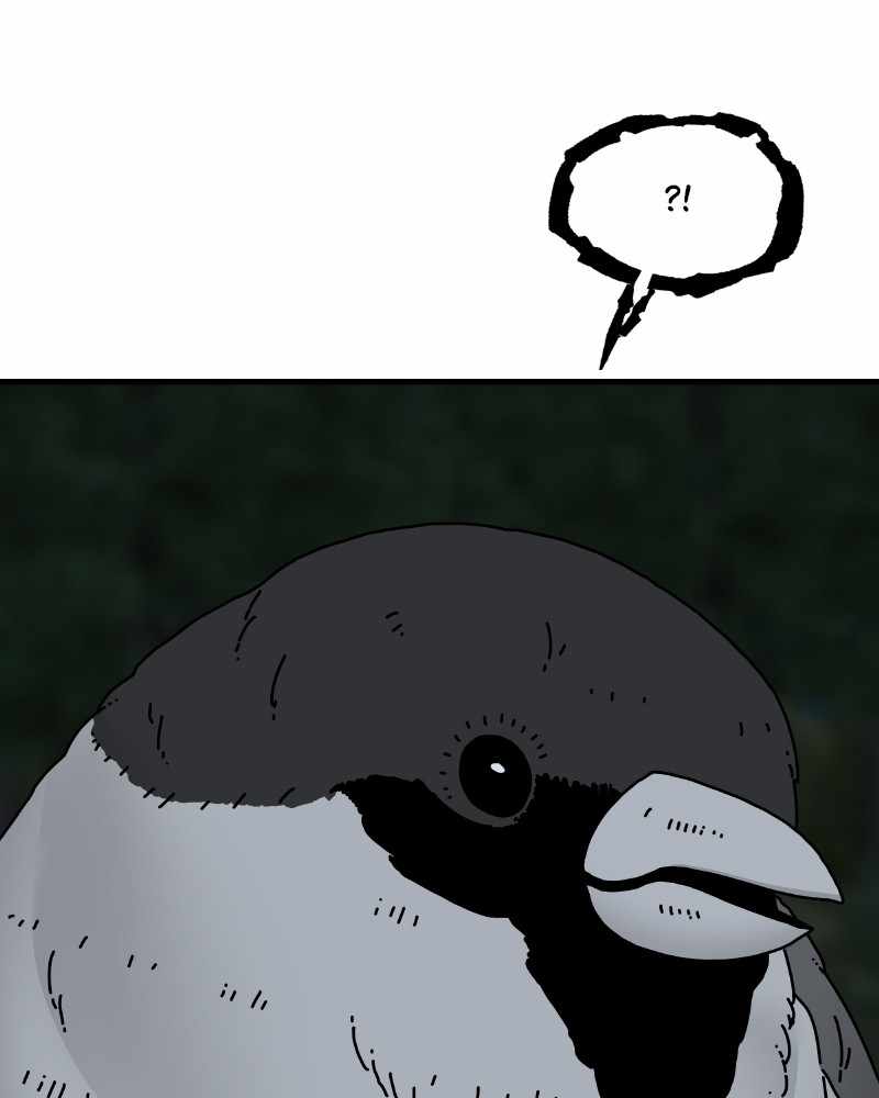 73