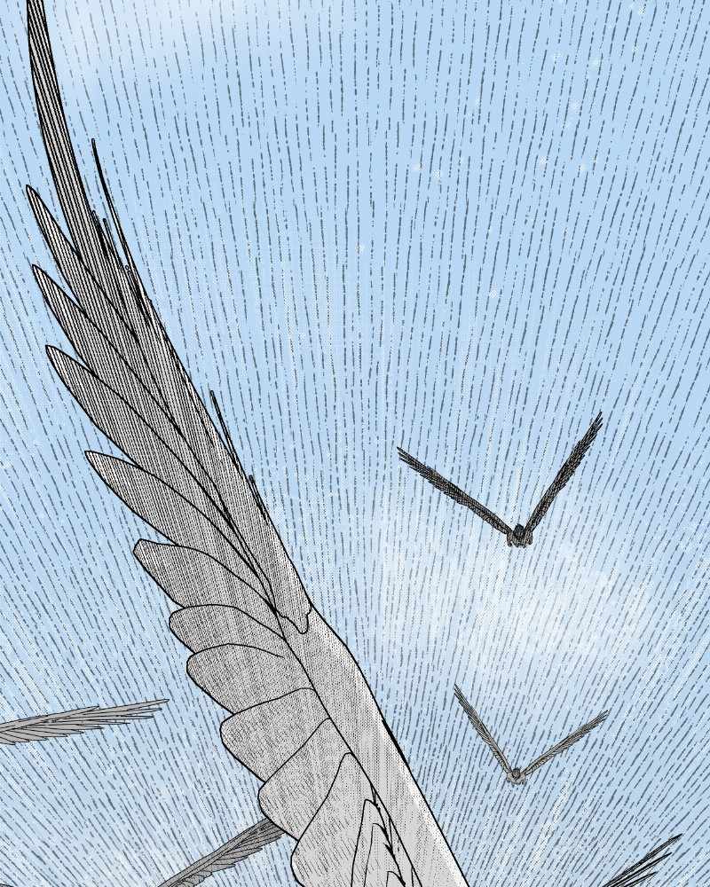 85