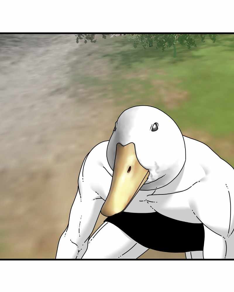64